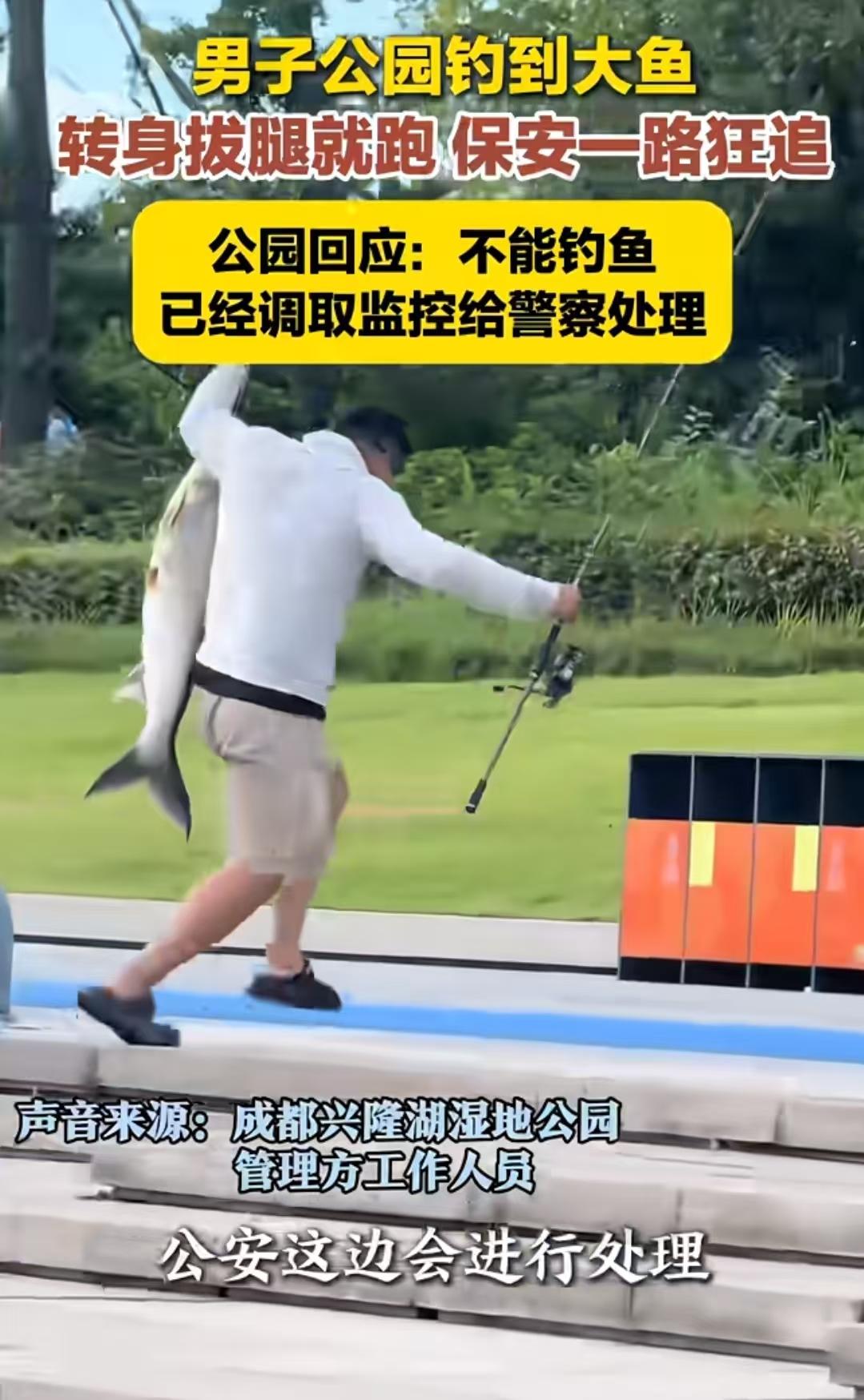 你发现了吗？我觉得不排除他们是冲着鱼去的！

看了视频的人都知道，男子钓到鱼的地