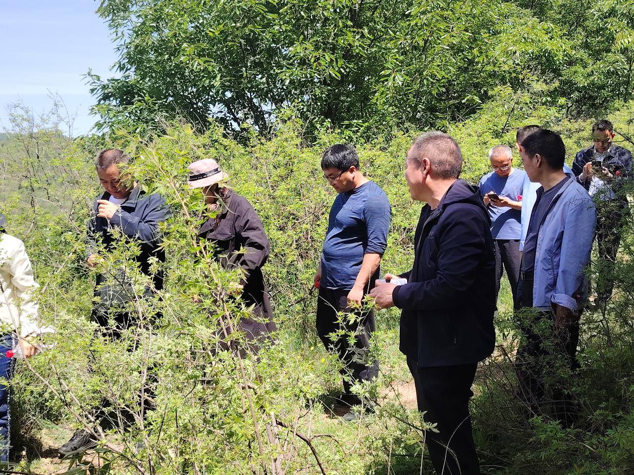 每日一图随手拍汝阳县紫逻山摩崖石刻