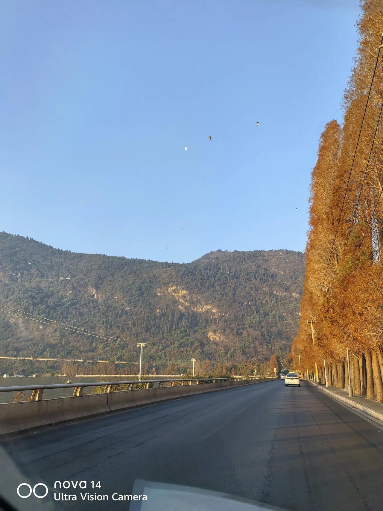 顺着昆明西山索道下来，从海埂大坝转往西山公园这段路，冬天这久早上7点半到8点半的