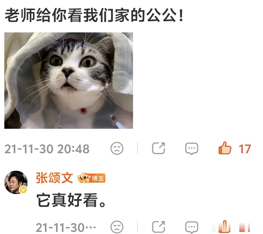 张颂文全世界最好的张颂文 考古哈哈哈哈