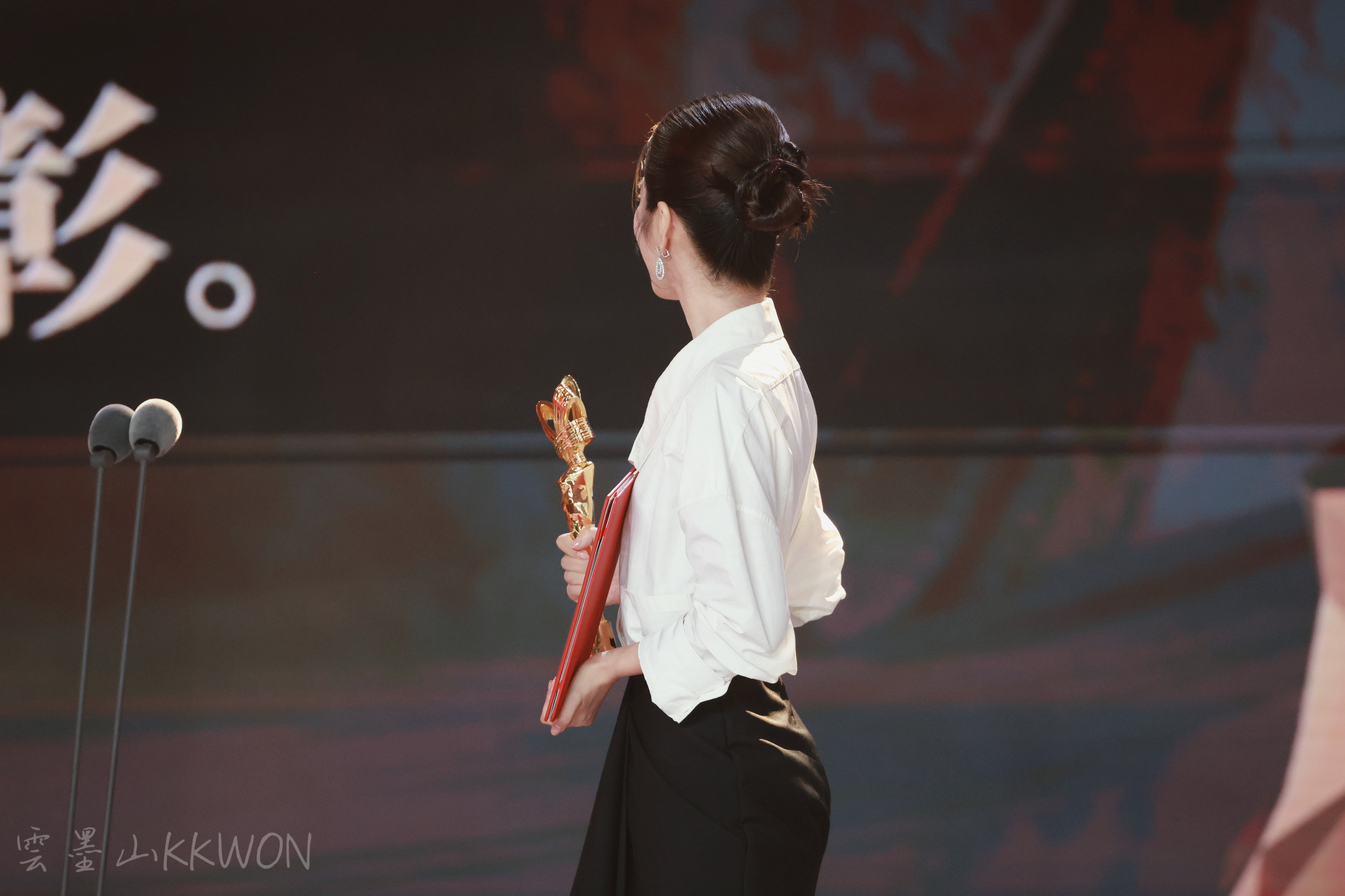 第一部影视作品就拿了主流奖项，没有任何投机取巧的去撕奖，该是什么就是什么，李姐从