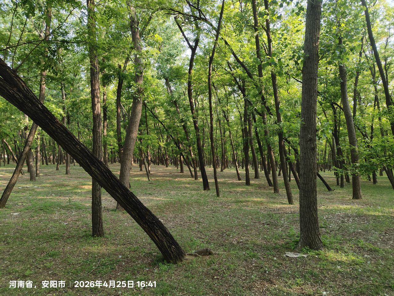 这个怎么样，