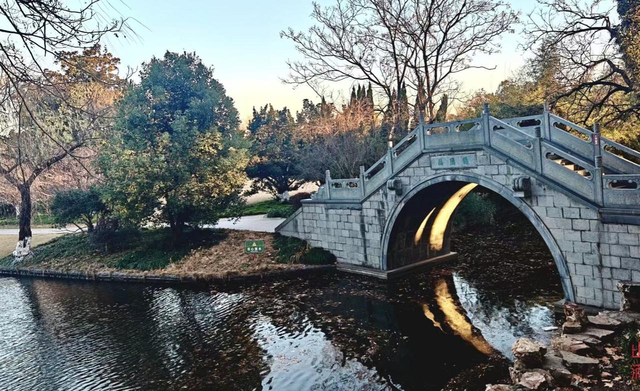 🍂老桥拱起的弧度里，盛着日光最后一捧暖金，溪水摇着树与天的倒影，把整个季节的静