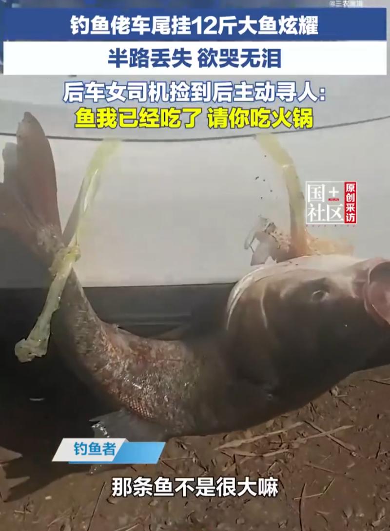 哭笑不得！重庆，一男子辛苦钓上12斤大鱼，一路挂车尾高调显摆，结果鱼半路掉落被后