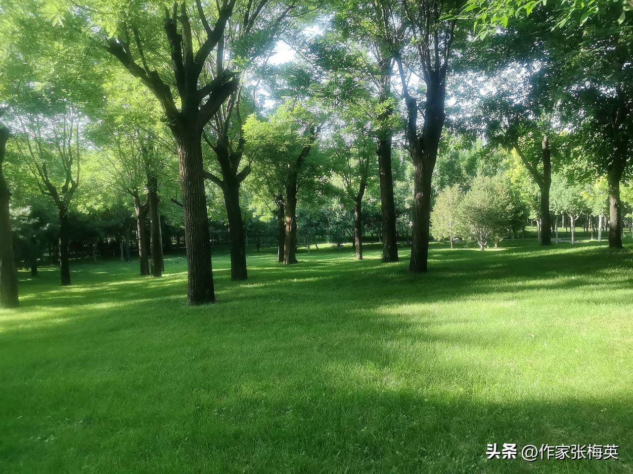 网恋四年转账8万2，他连她真名都不知道：工地上的"新娘"，原来只是云端的影子

