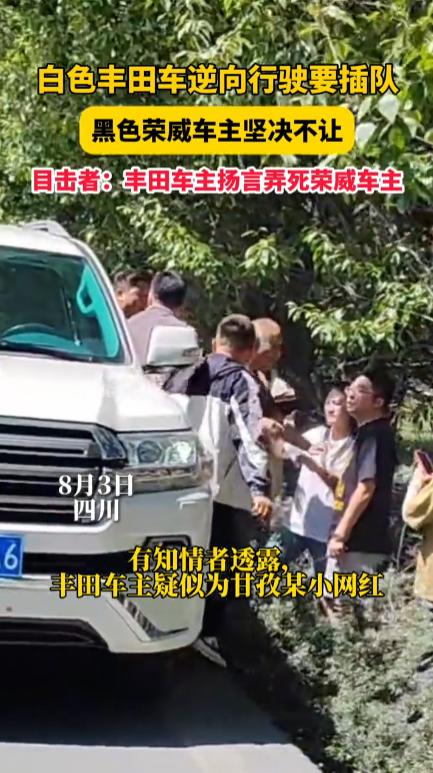 “严查到底！”四川，一辆国产车在路上正常行驶时，突然出现一辆大型日本越野车，车主