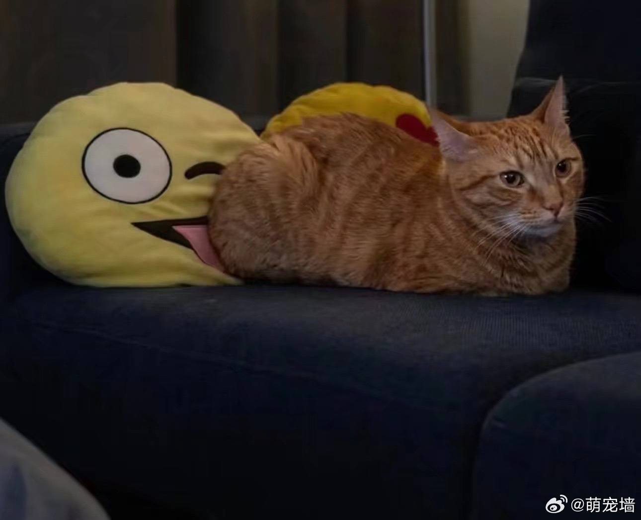 相当美味 