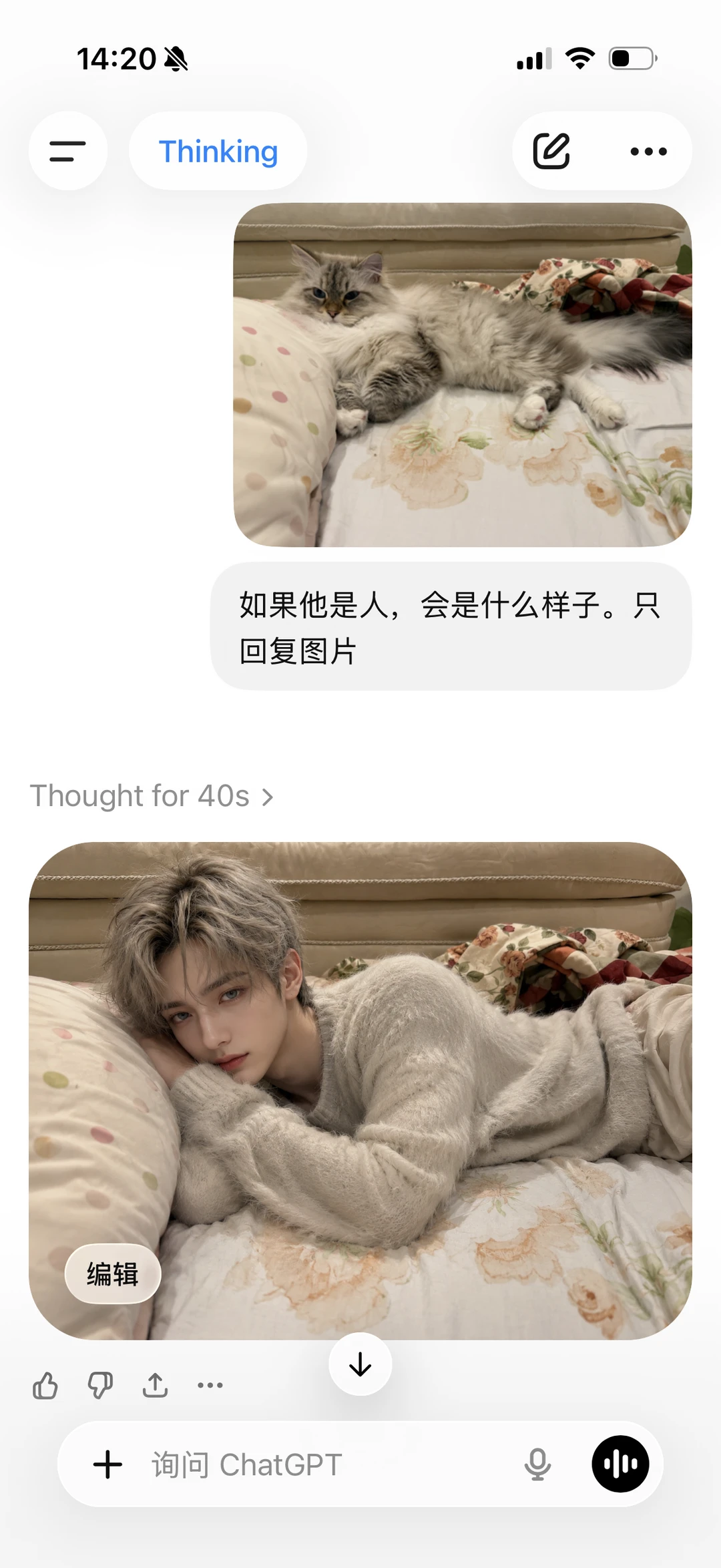 关于我家猫拟人之后可1可0 自己就能组CP