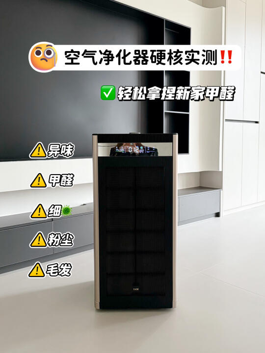 新家除醛别犯愁~净化空气它拿手！
