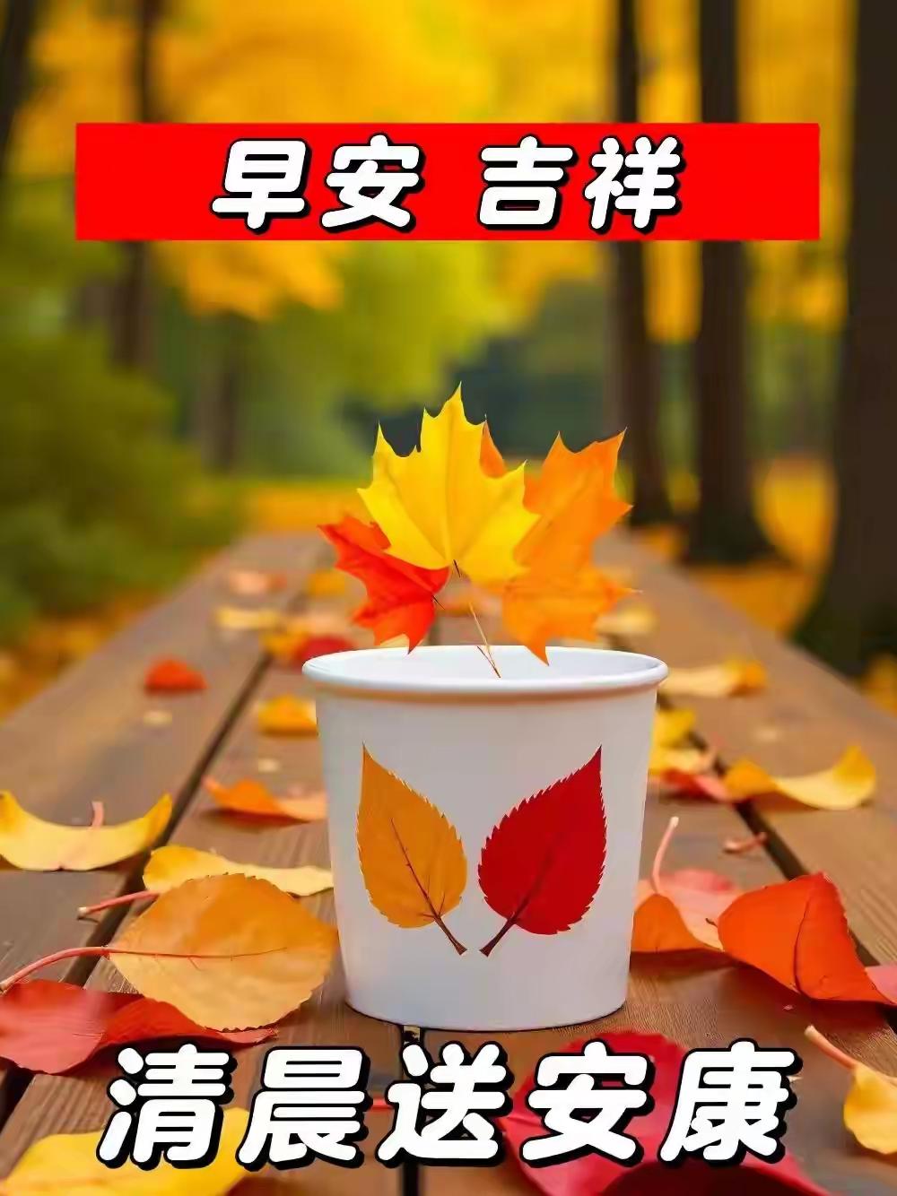 花开见喜，晨光送福，愿好运常伴左右。
晒图大赛