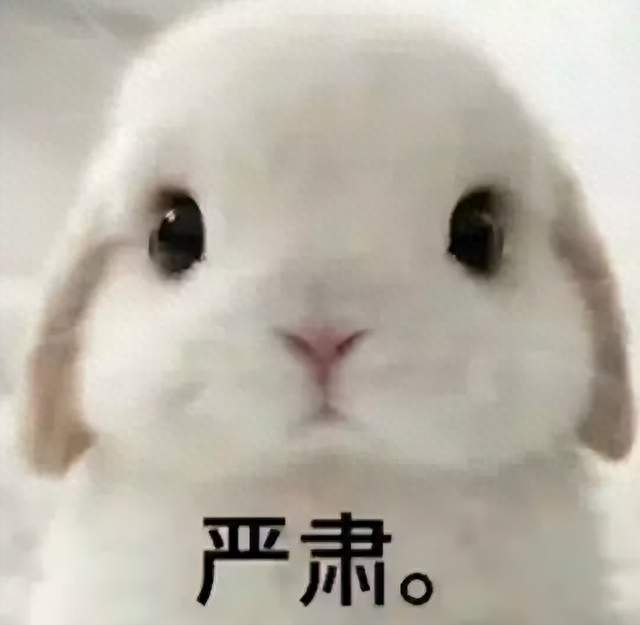 【江一尘选调课】选调10:1，国考50:1同是公务员，差距为何如此？
