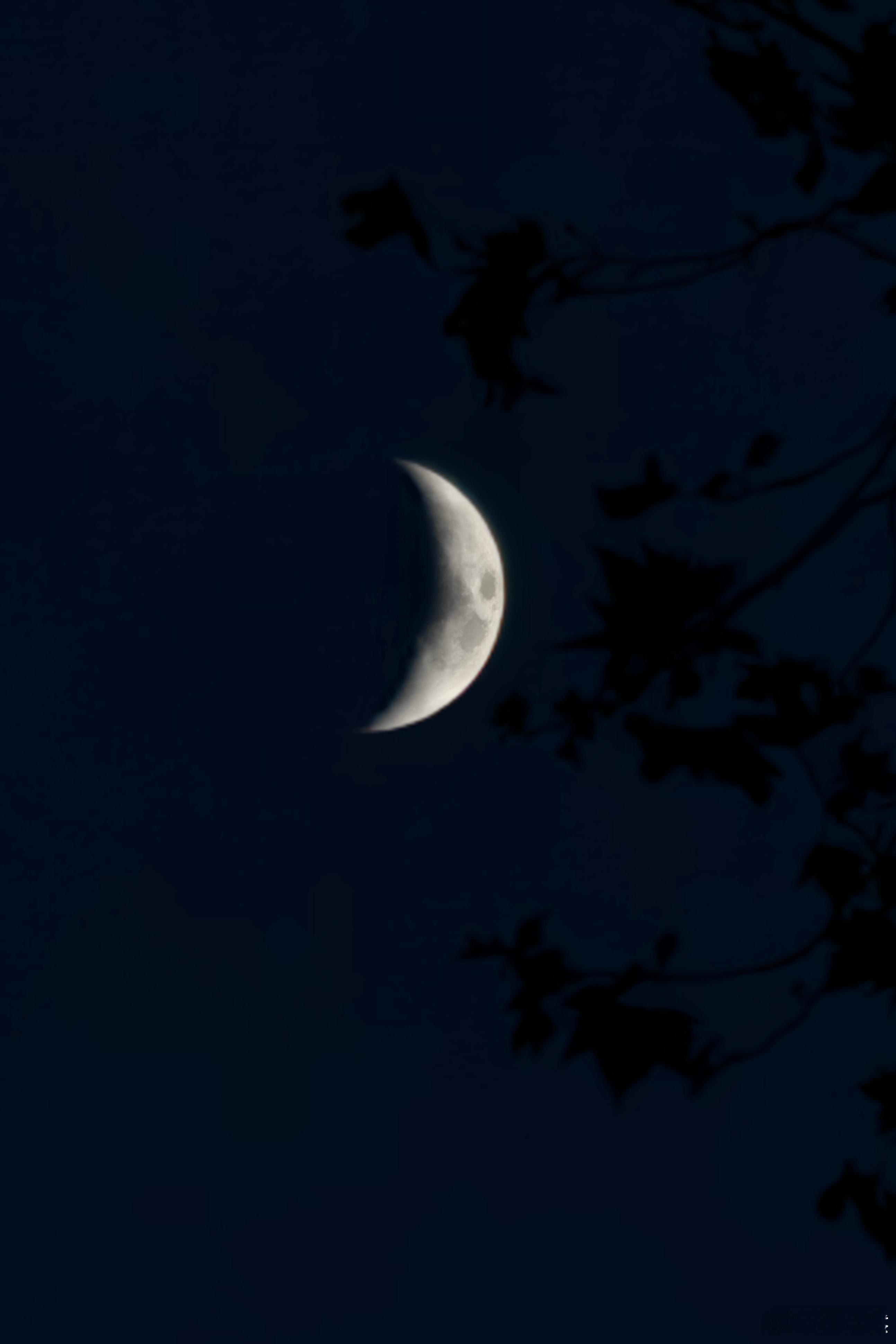 晚安～[月亮]夜幕低垂，万籁俱寂。心归宁静，梦入禅境。#旅途光影#  ​​​