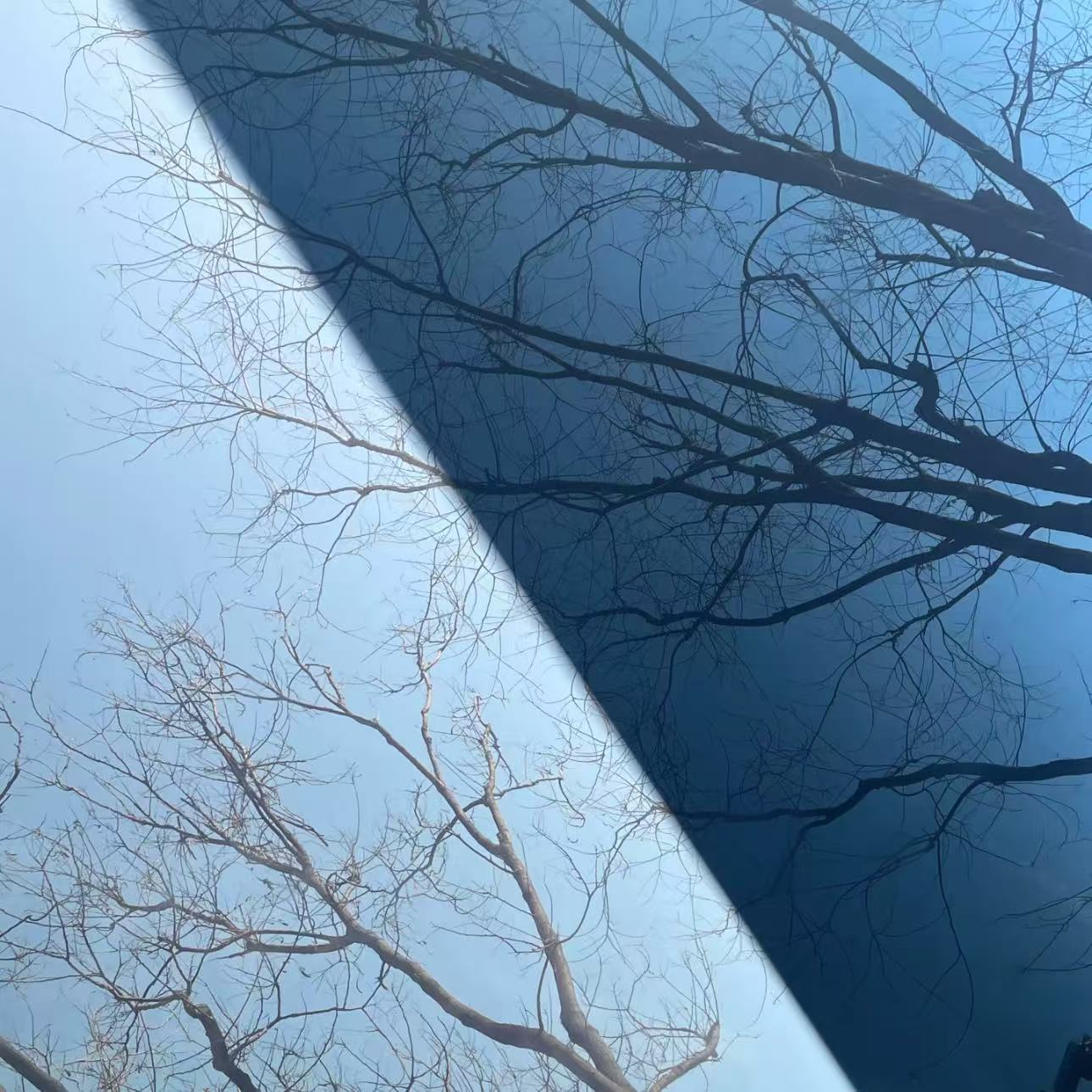 杨颖头像｜背景图套图｜高质量女神头像分享 