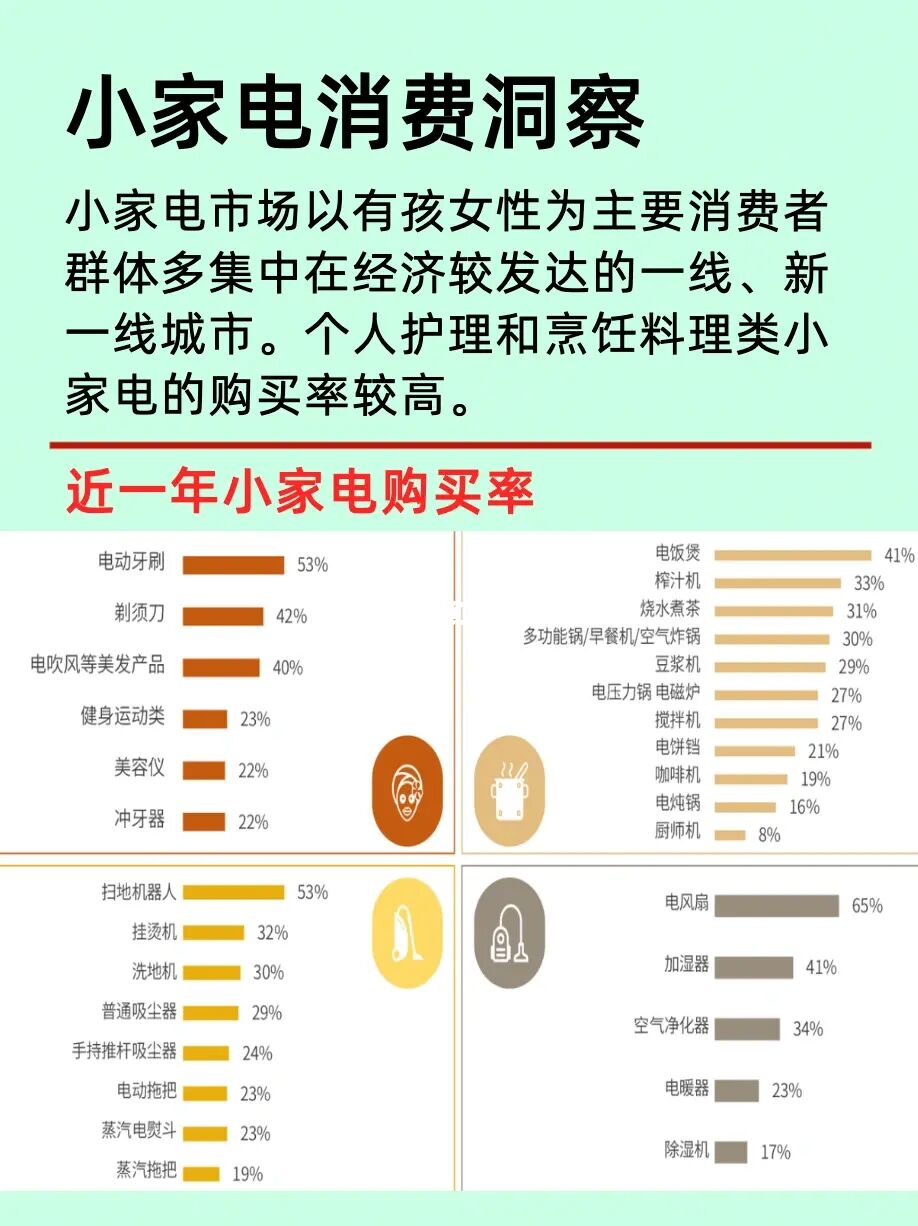 一篇了解《小家电》行业消费概况