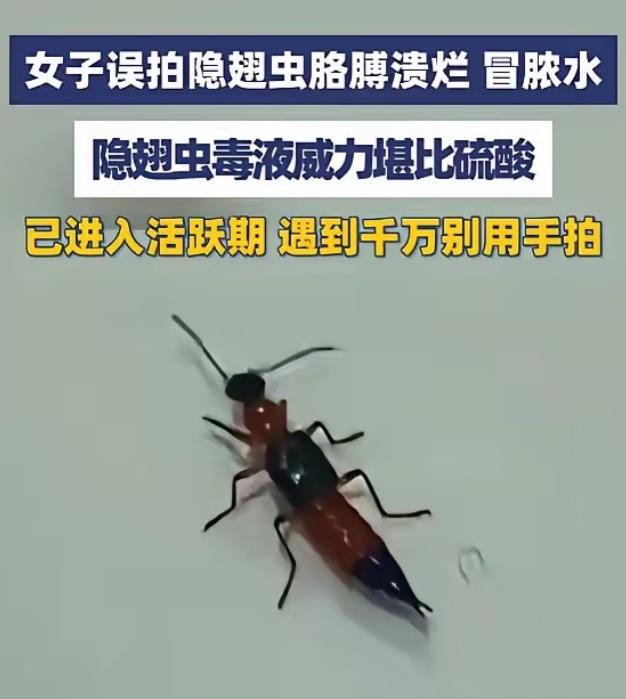 “悲剧还是发生了！”5月29日报道，浙江义乌，一女子见窗边有小虫，随手就给拍死了