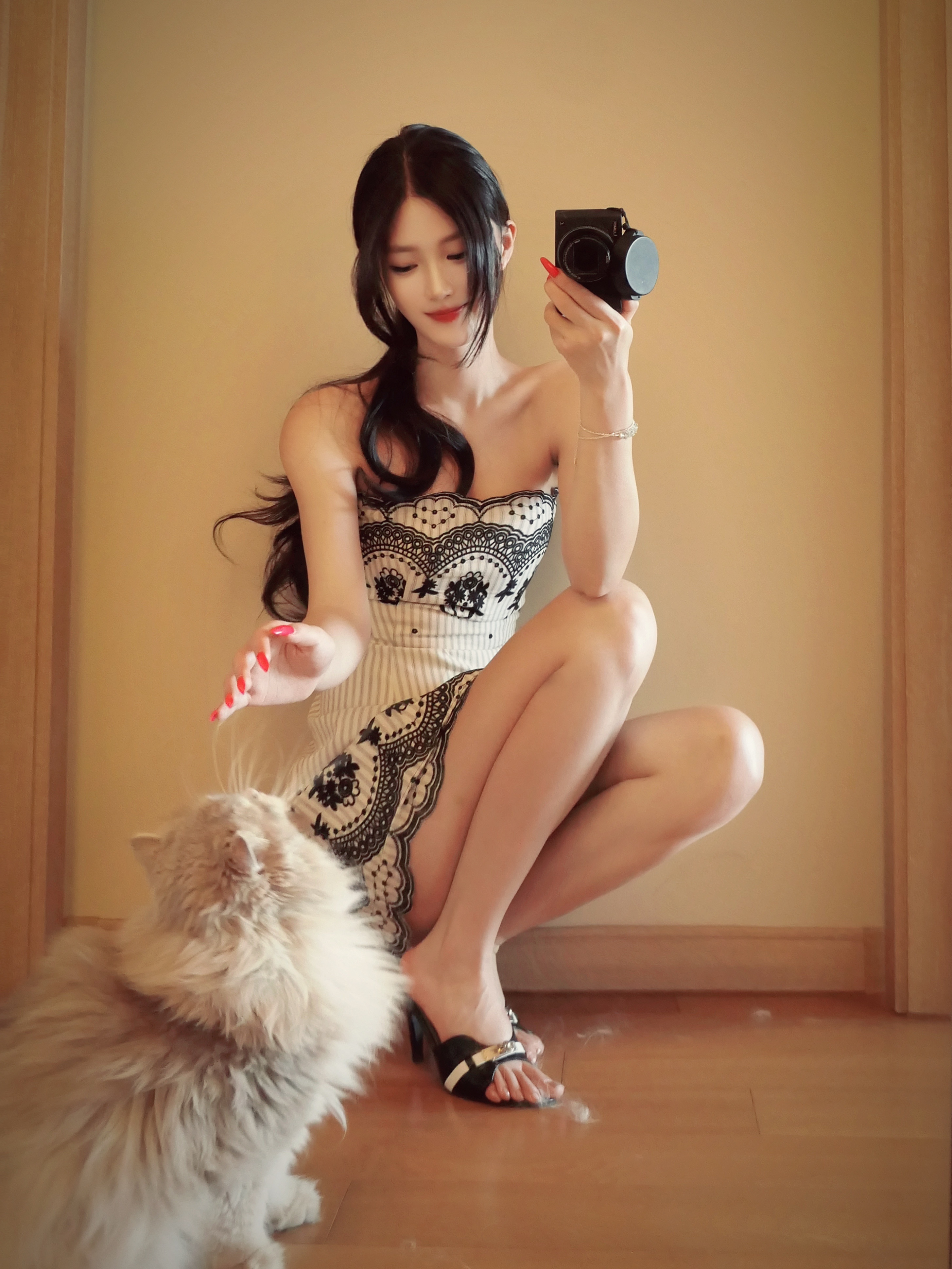 好粘人的小猫 