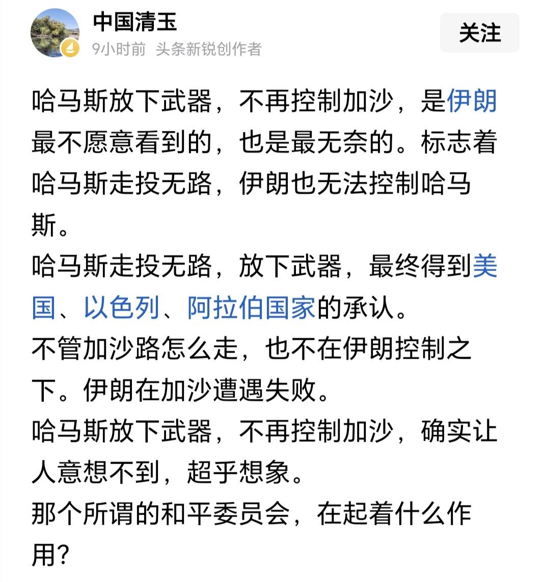 截图（一）这篇小短文讲的哈马斯已经放下武器，不再控制加沙了。
这不是事实，千万不
