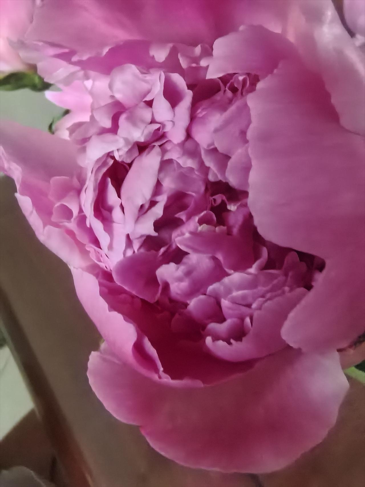 东营方言土语好有趣：好省周、济他的、济你、看不逡、不管由、不管忽、去毬滴、喂日猴