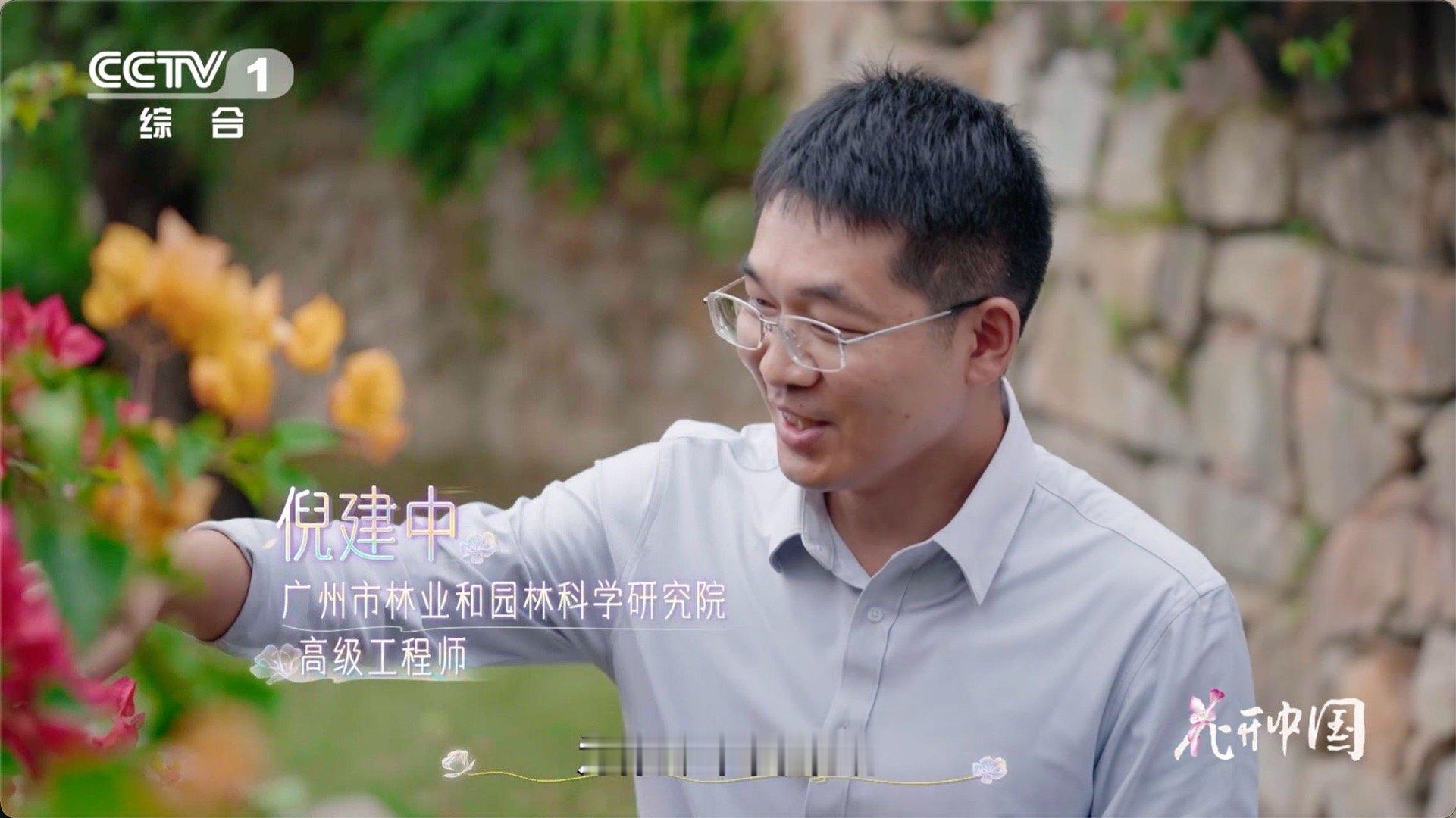 以为是花其实是五颜六色的叶子从刺里开出的花 原来三角梅的刺不仅仅是防御，更是生命