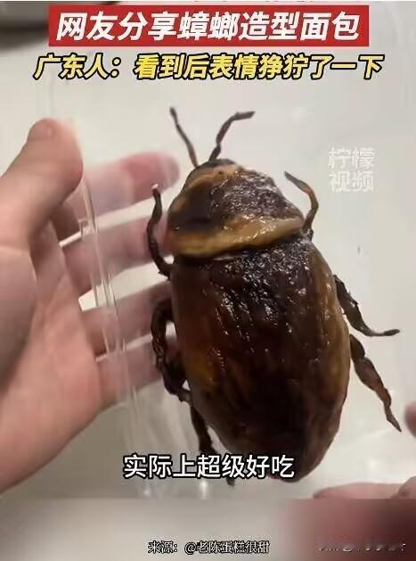 天塌了[泪奔]我对这玩意过敏
做标本的拆开来也差不多是这样[捂脸]沃尔玛超市的蟑