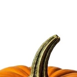 1400种植 🌱 种植文案南瓜的种植方法一、选择种植地和整改土地种植之前要选择