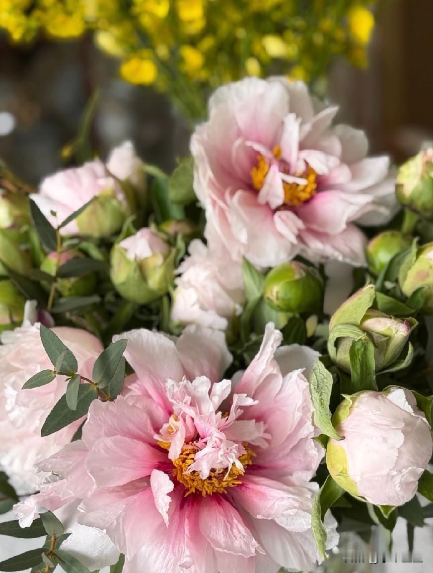 前天，买了26年最新的意林杂志六本，三联三本，放在高一生床头，当睡前读物。

一