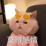 杏琪说说科技