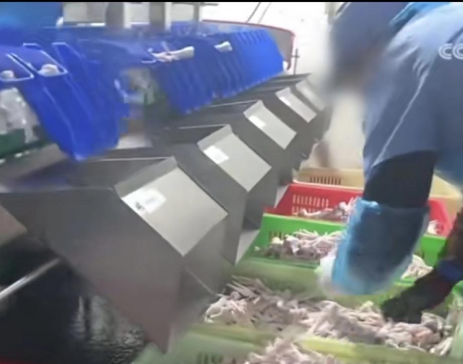 用双氧水泡凤爪，如今这世上就没有咱们国人做不到的事。即便在高压监管下，仍有人心存