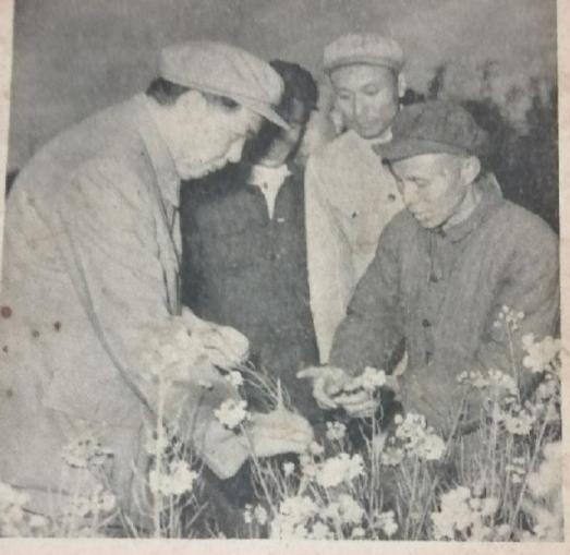 毛主席在人民群众中