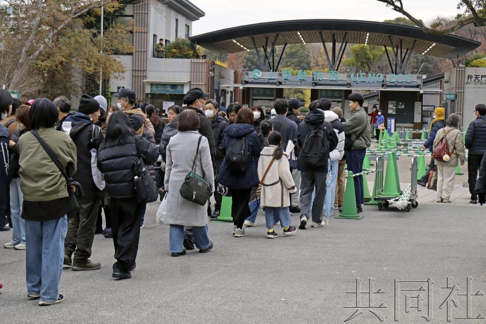 为了在失去前再看一眼大熊猫，日本民众宁愿在寒风中排队数小时，只为能再看几秒钟大熊