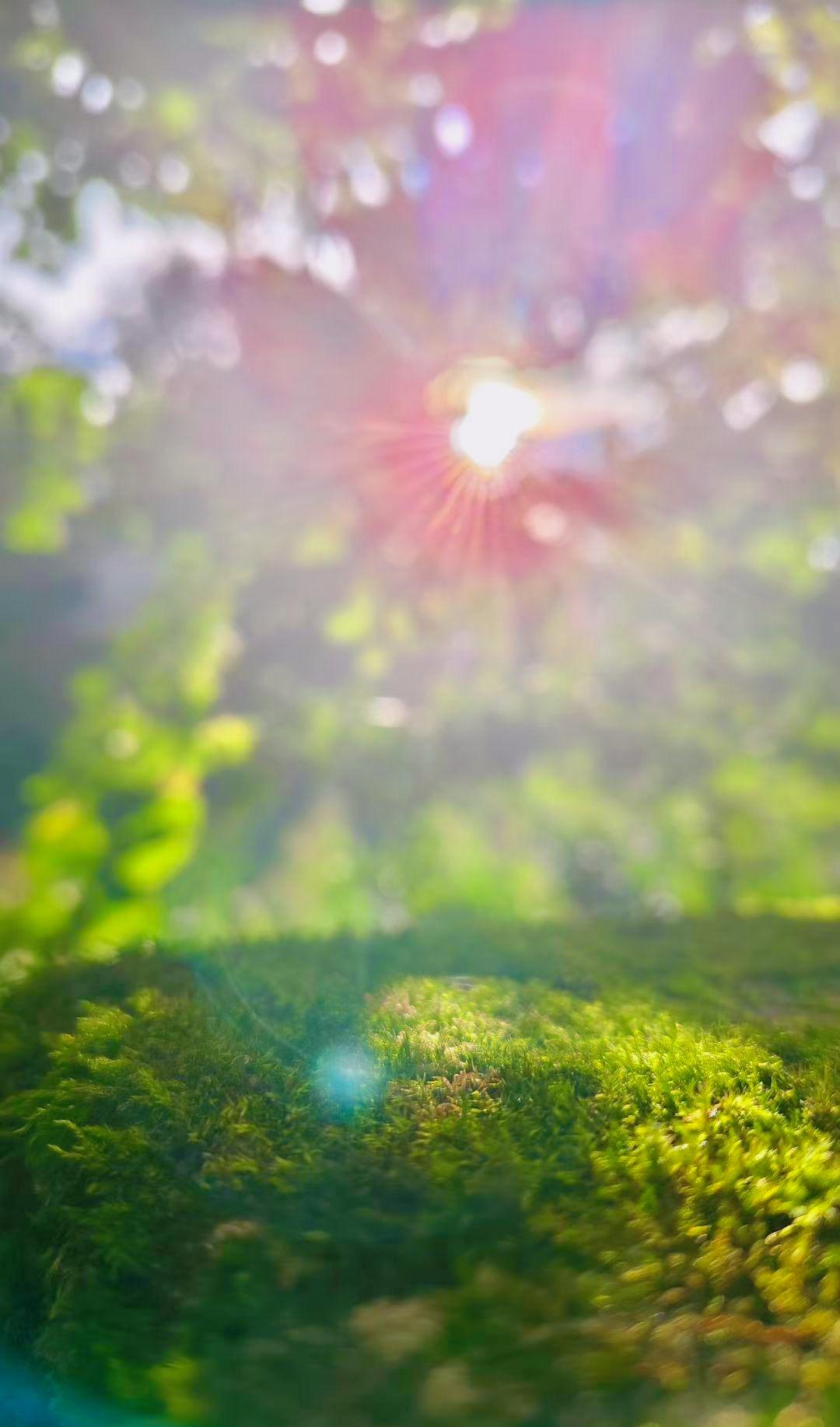 刘震云  ：）
山鸟与鱼不同路
各花各有各花香
不渡人，不缠情，不揽债
 允许亲