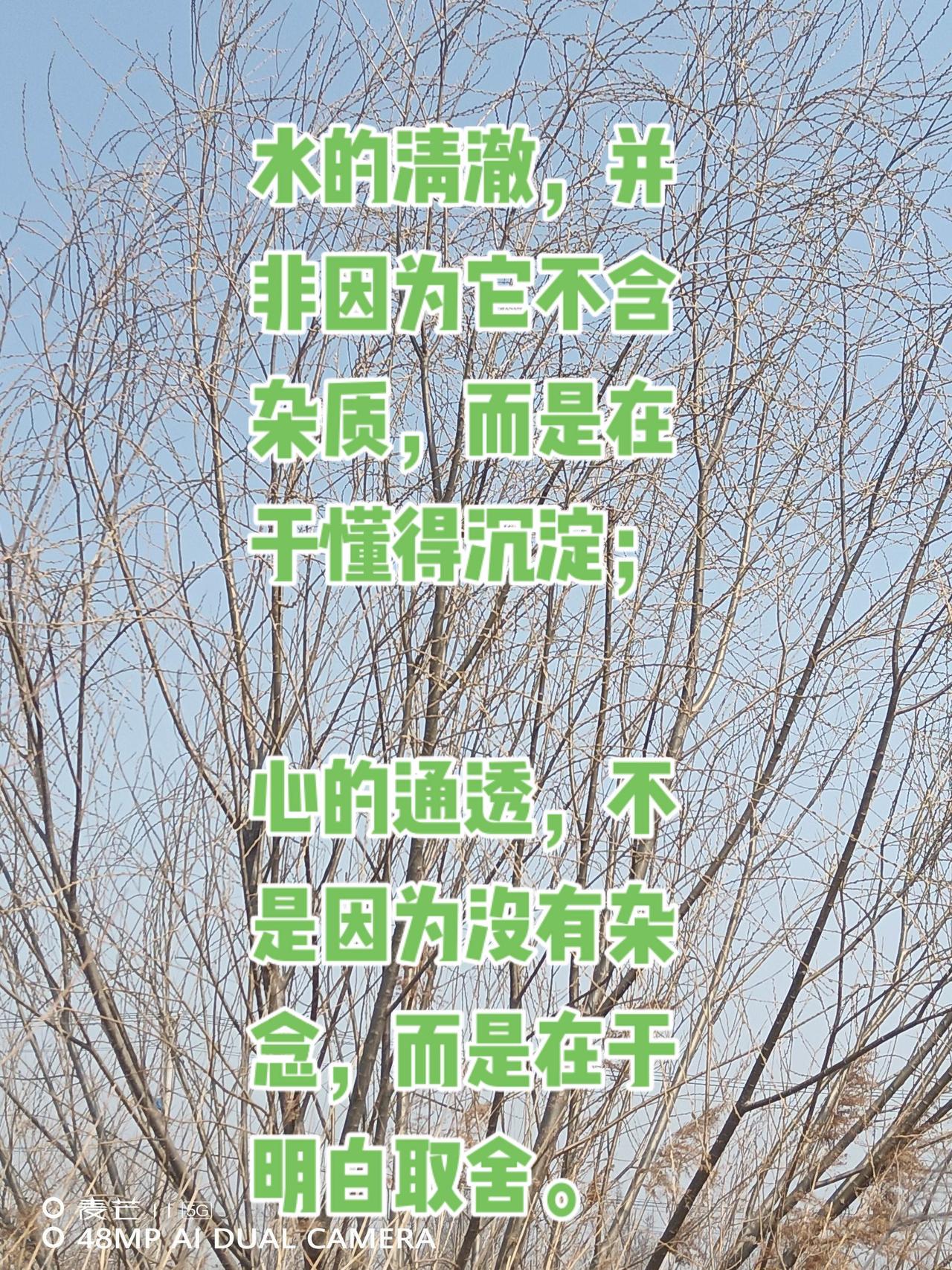 分享大山里的原生态