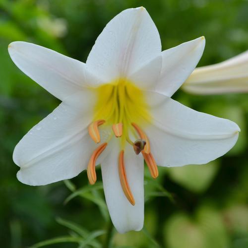 它首先是一份经济契约。两个人将资源合并，共同抵御生老病死的风险，实现1+1>2的