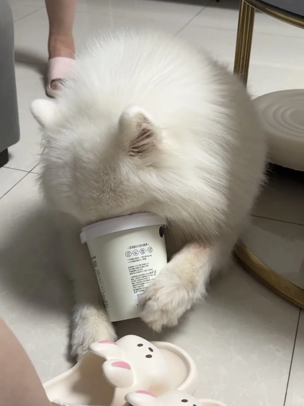 宝儿怎么看起来笨笨哒