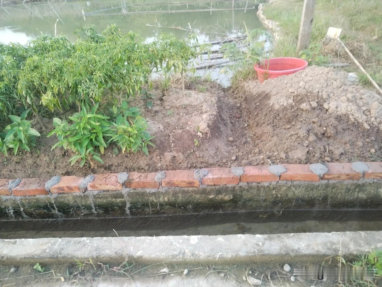 水渠在我菜地一段比某他地方低，当前口子一同堵死时，水从我菜地里漫过流进鱼塘里，鱼