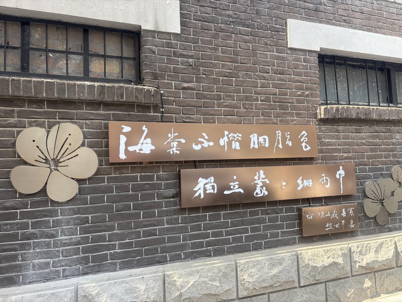 海棠花如约绽放

人如海车如流

百年建筑和一排排汽车

如两个时空的交汇

放