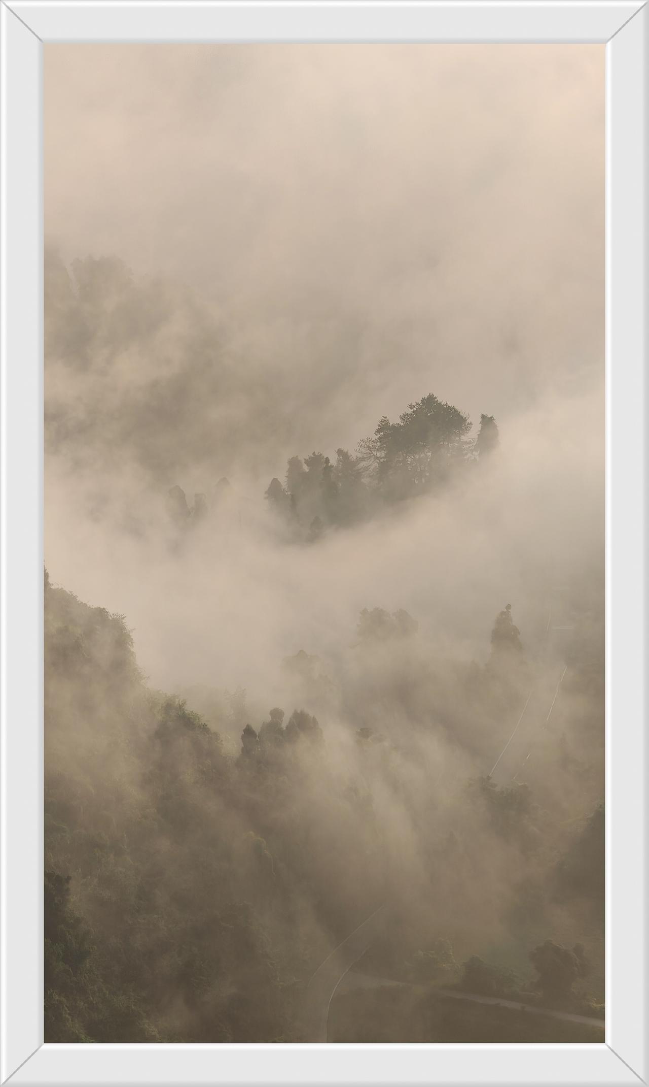 分享一张山景照片《云雾山林》