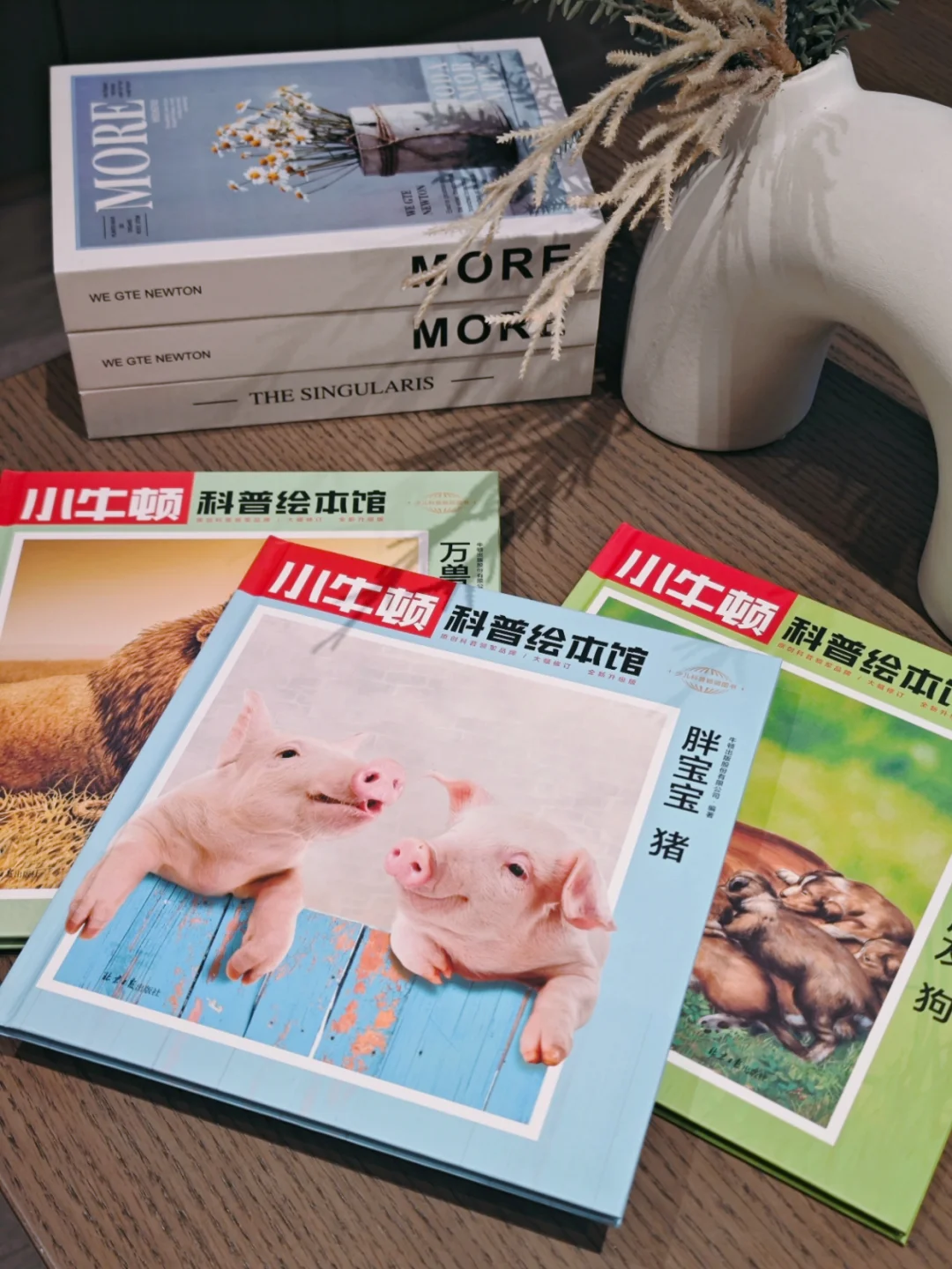 孩子爱不释手的科普读物，每一本都超有趣～