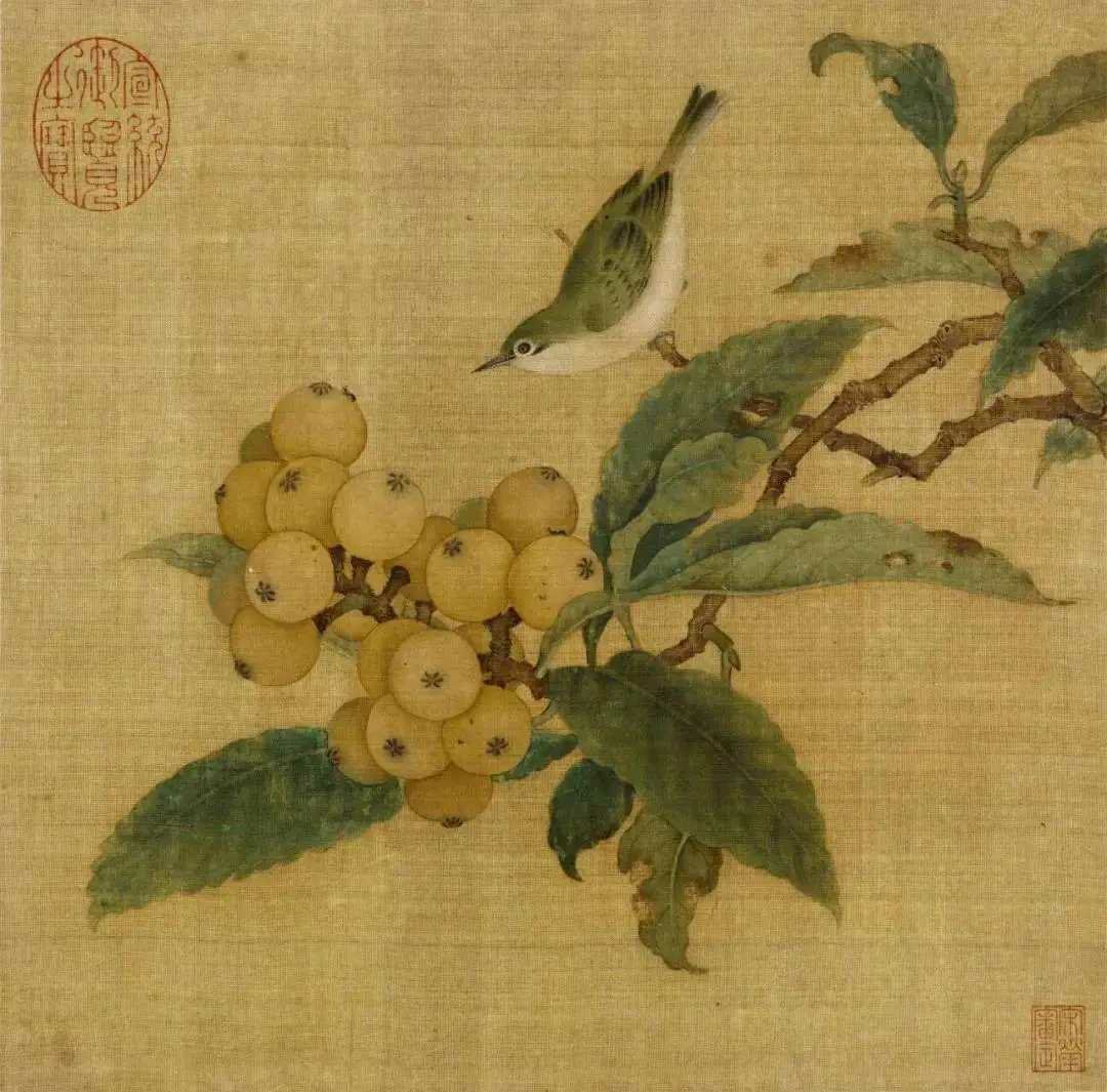 宋 林椿 枇杷山鸟图页，26.9×27.2cm 绢本设色 北京故宫博物院，描绘的
