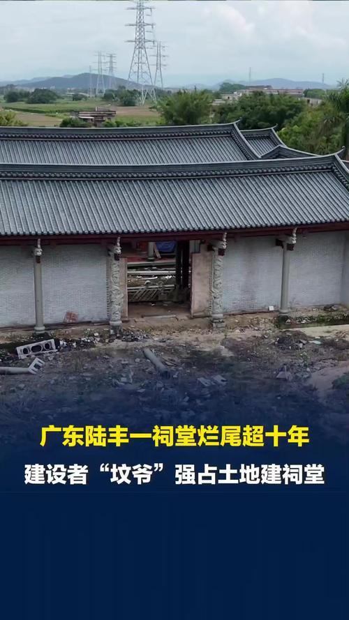 嚣张至极！扬言“打死你如同打狗”，这名被叫作“坟爷”的男子，身兼汕尾、陆丰两级人