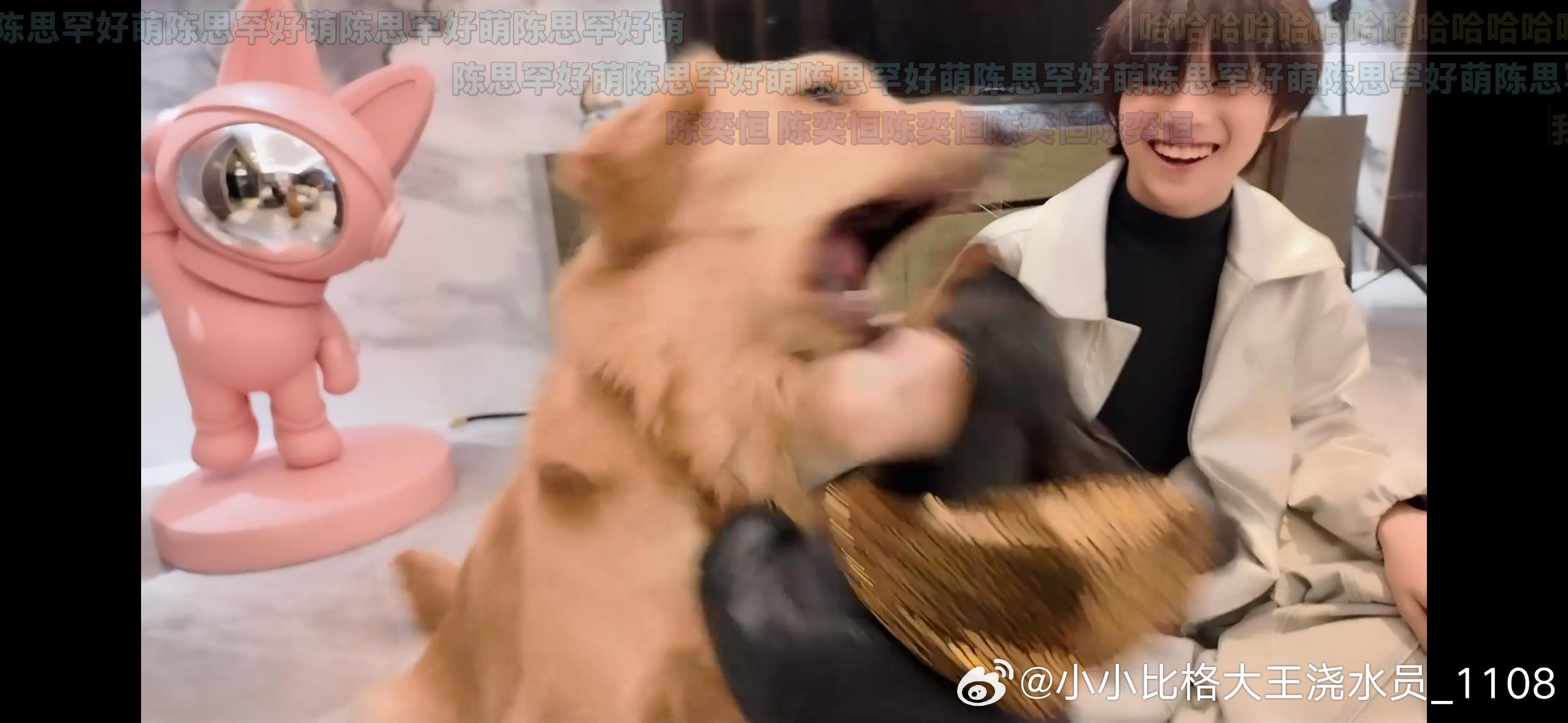 陈思罕你给格格留点面子行不 