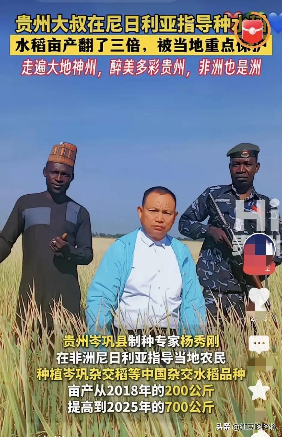 比总统还受宠！
贵州大叔非洲种稻，
被持枪武警24小时守护？

贵州大叔杨秀刚，