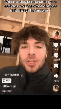 孔子说：当蚊子落在你的蛋蛋上时，你会知道暴力并不总是答案，不是所有的事情都可以用