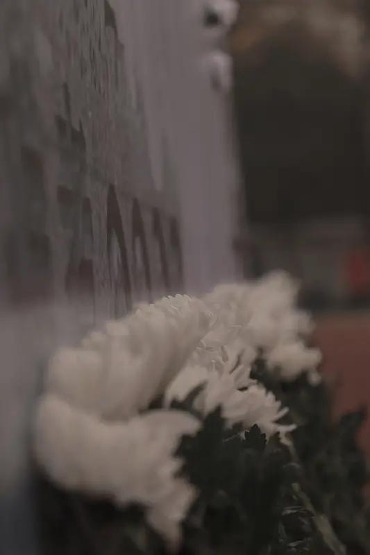 1月16日贺娇龙公开悼念仪式在昭苏举行，天还没亮，殡仪馆前车辆就排了数公里长。有