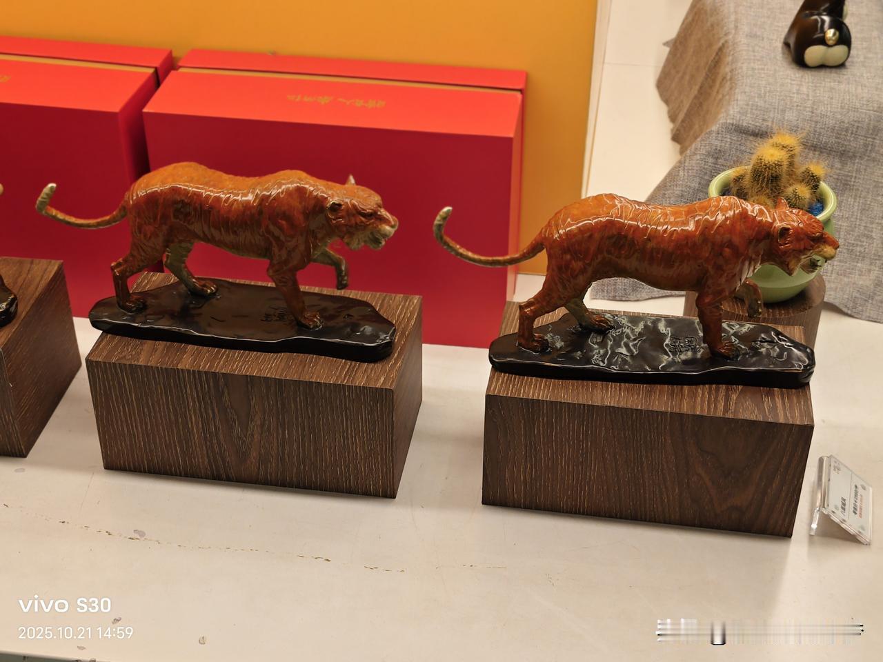 冬日生活打卡季