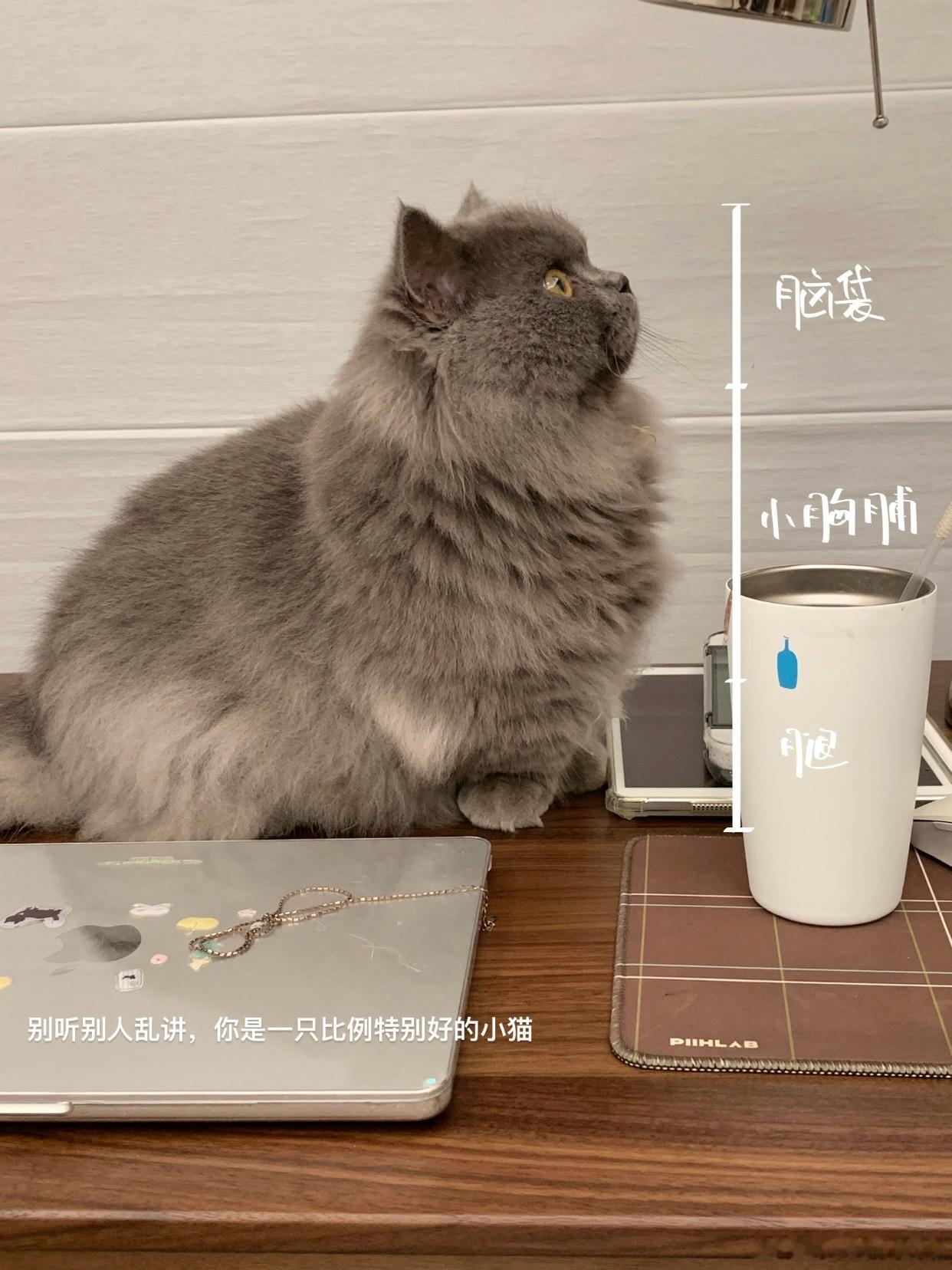 晚安😴 