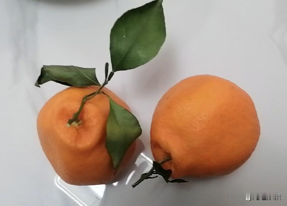 刚刚吃杷杷柑，不小心被桔子里面的汁呛到了。
呛的那一会，确实有点难受：
嗓子里痒