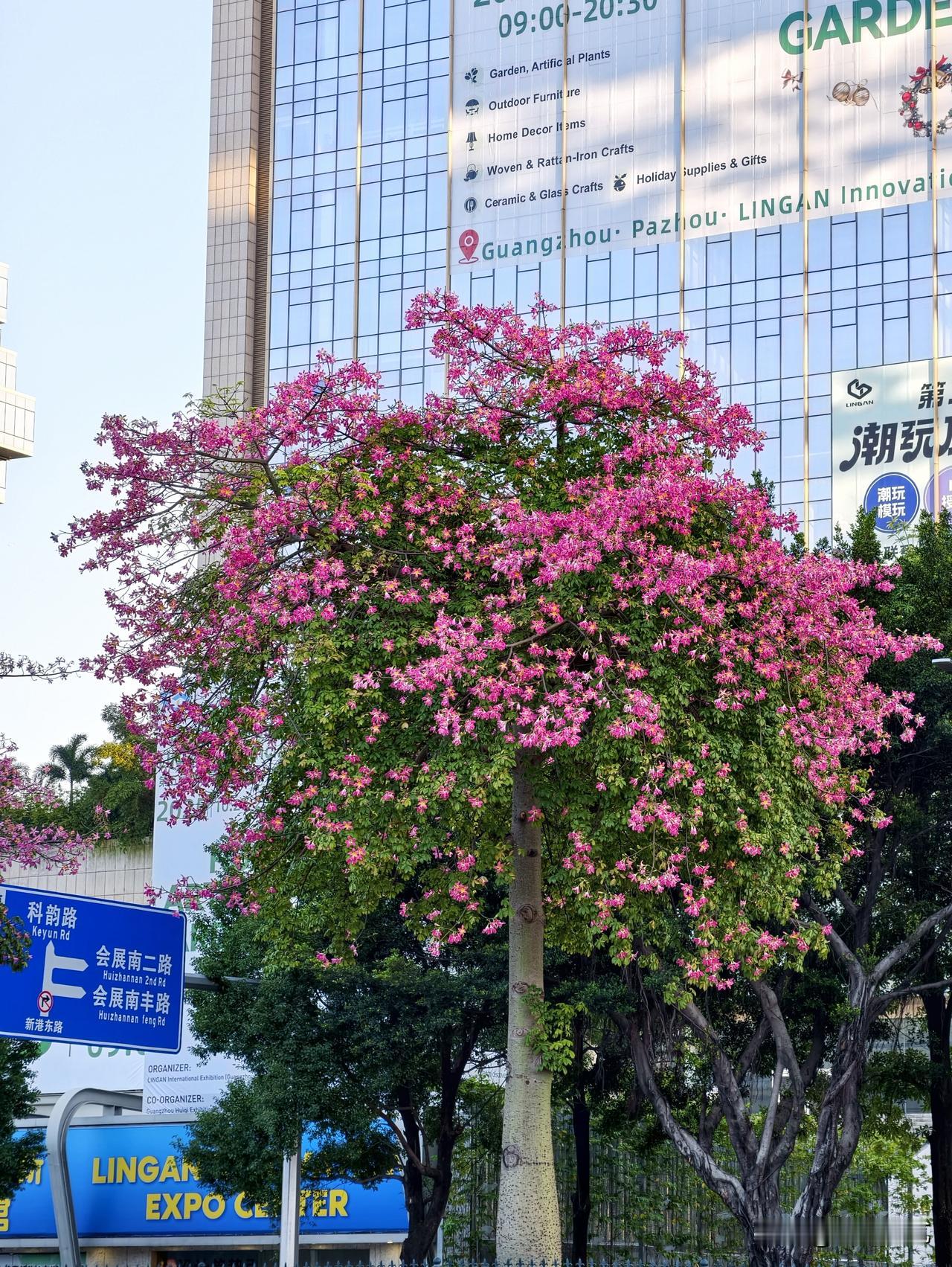 仅仅匆匆一瞥，还是被惊艳