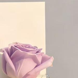 人生感悟 🌈你已经很努力了，别再苛责自己。生活不是用来追赶的，而是用来感受的。