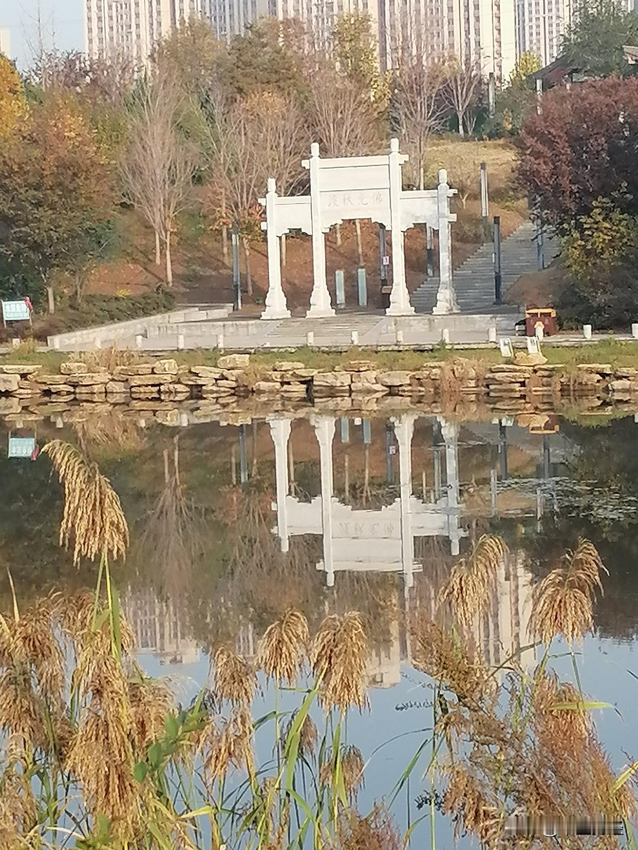 看看佛光秋渡码头，已经从夏日的碧绿渲染成秋黄了！